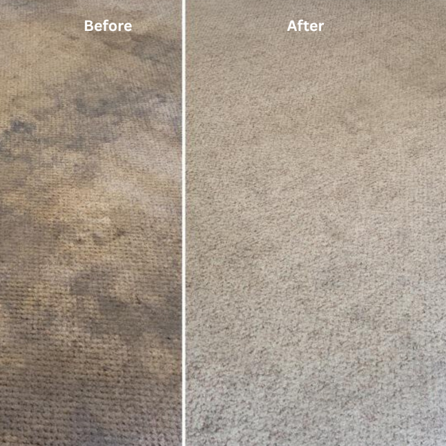 carpet-cleaning-before-after-02780-