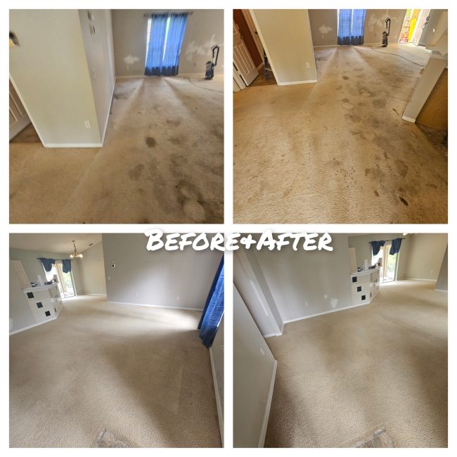 carpet-cleaning-taunton-ma-livingroom-with-pet-stains